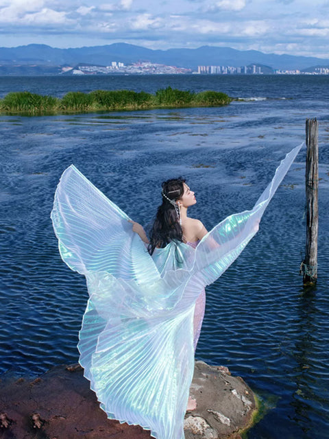 Golden and Silver Wings 360 degree Split Dance Dress m33311027